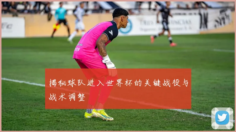 揭秘球队进入世界杯的关键战役与战术调整