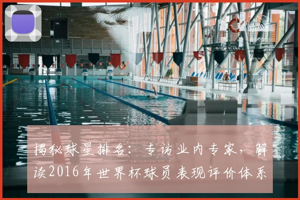 揭秘球星排名：专访业内专家，解读2016年世界杯球员表现评价体系