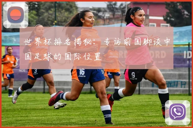 世界杯排名揭秘：专访前国脚谈中国足球的国际位置